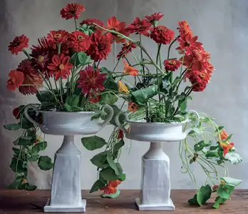 Anne Spencer's garden.