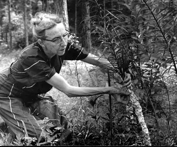 Southern Women, Southern Landscapes: Real and Imagined Afterlives of Gardens event image