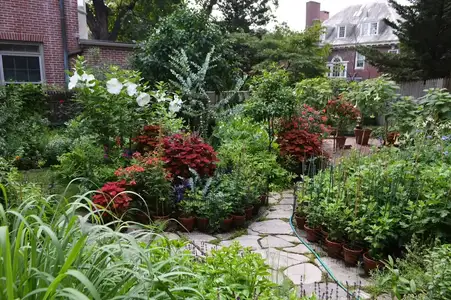 Art & Design in Providence - A Day Out with the President event image
