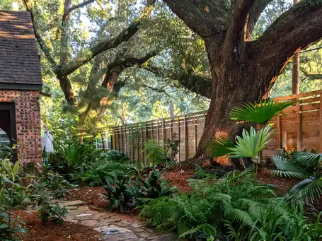 Garden of Christopher Knapp