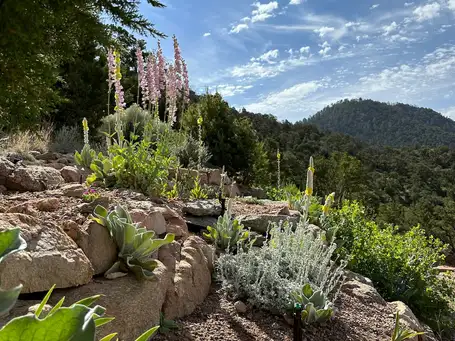 Saturday, May 31st Open Day at Robin Magowan’s Rock Garden
