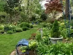 Saturday, May 17th Open Day at Janet Schulz
