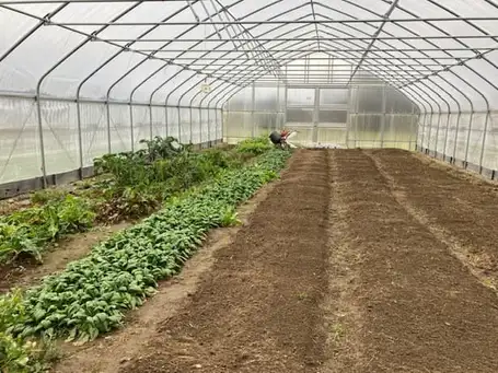 Saturday, May 31st Open Day at The Salsedo Family Garden