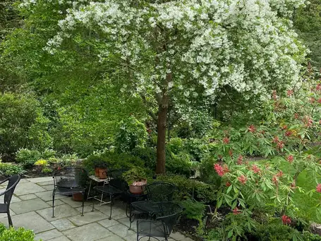 Saturday, May 10th Open Day at Glade Garden—Abby Jane Brody