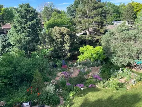 Saturday, May 24th Open Day at Not Arizona