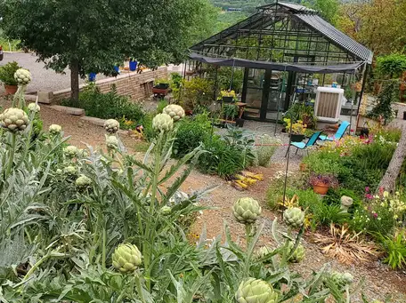 Sunday, May 18th Open Day at A Hillside Garden