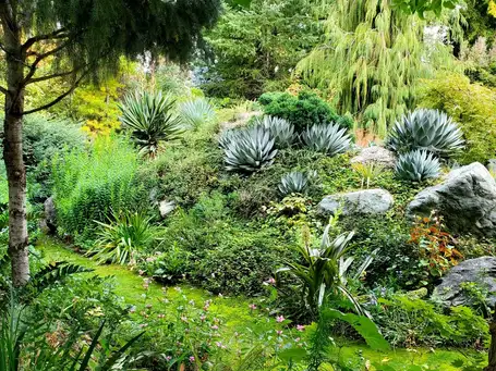 Sunday, May 18th Open Day at Italio Gardens
