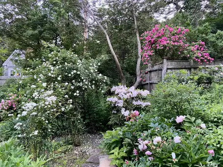 Saturday, May 10th Open Day at Glenluce Garden