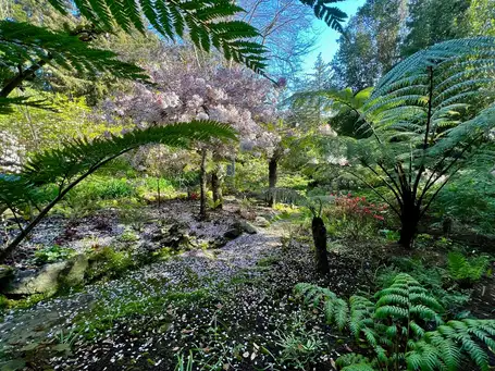 Saturday, May 10th Open Day at Piedmont Oasis