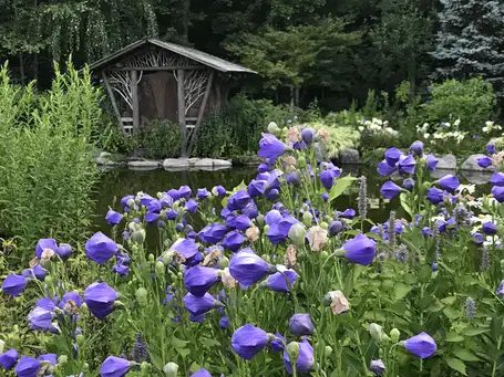 Saturday, May 17th Open Day at Magic Mountain Sanctuary