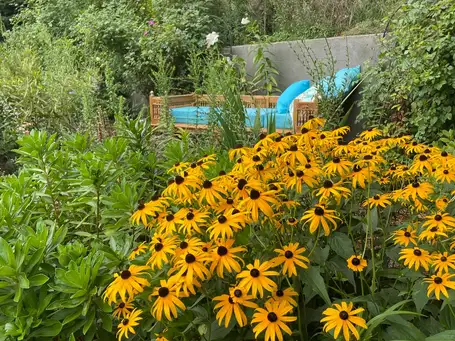 Saturday, May 31st Open Day at Our Color-Filled Retreat