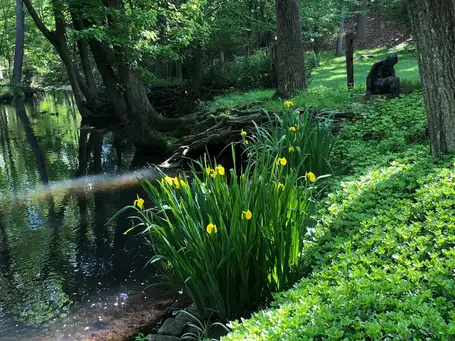 Saturday, May 17th Open Day at Mila & Barry's Garden