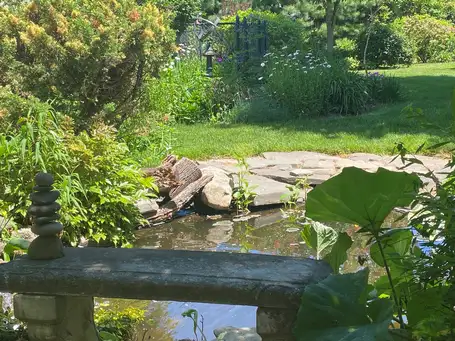Saturday, May 24th Open Day at Tranquility
