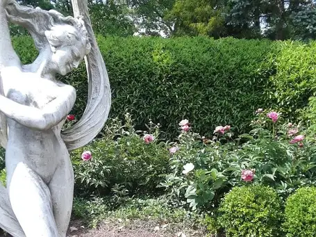 Sunday, June 1 Open Day at The Secret Garden @ 377 The Gotelli Garden at Harriso