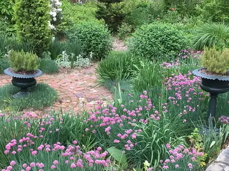 Saturday, May 10th Open Day at Rock Bottom Garden