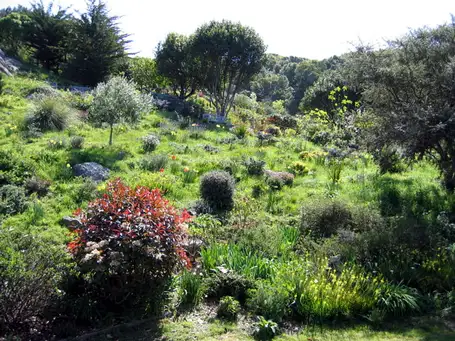 Sunday, May 25th Open Day at The Panoramic Garden