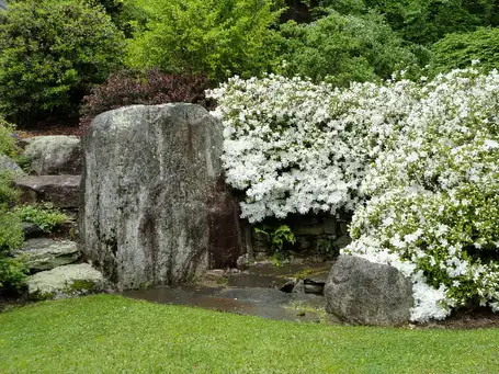 Saturday, May 31st Open Day at Earthworks Garden