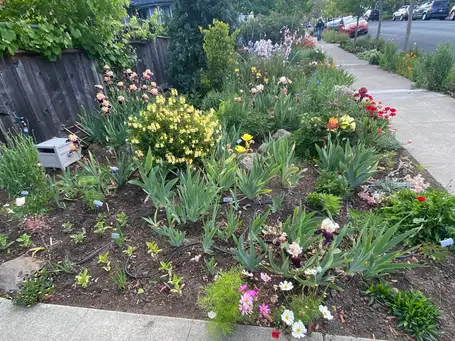 Saturday, May 10th Open Day at Blooms and Birds