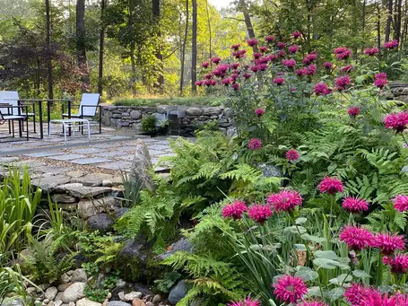 Saturday, May 10th Open Day at Wildflower Woodland Garden