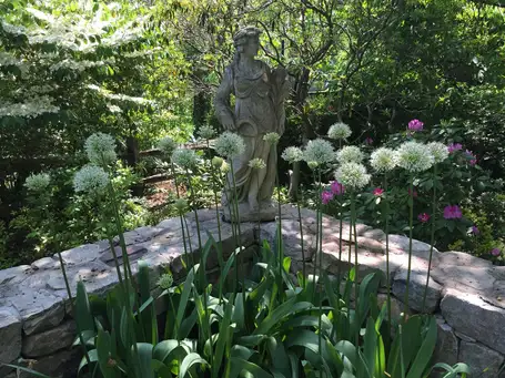 Sunday, June 8 Open Day at Squirrel Hall