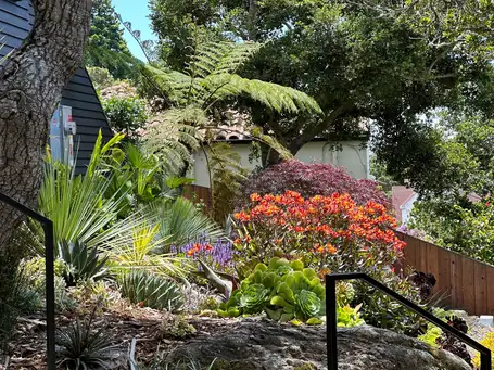 Saturday, May 10th Open Day at Rhyolite Repose