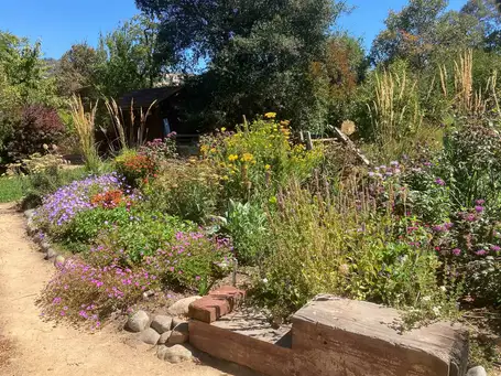 Saturday, June 14 Open Day at Woodshop Grounds