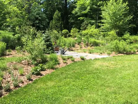 Sunday, June 8 Open Day at Native Village Garden in Process