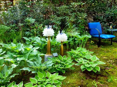 Sunday, June 22 Open Day at Previti/Gumpel Garden