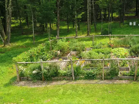 Digging Deeper: Gardening with Insects and Birds in Mind