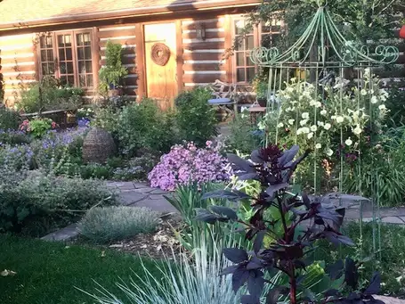 Saturday, June 28 Open Day at The Sunny Bug Farmette