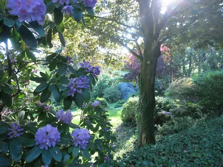 Saturday, June 28 Open Day at Rumford Hall
