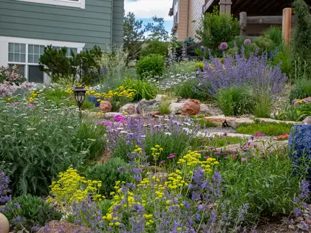 Saturday, June 28 Open Day at The Xeric Garden 10-12
