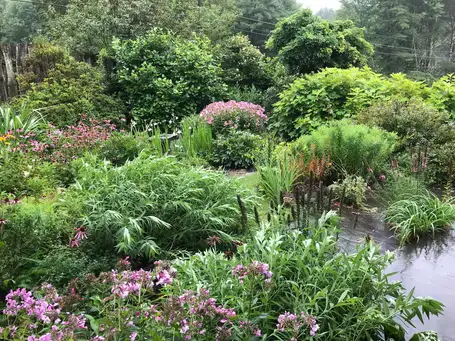 Saturday, June 28 Open Day at Sally's Garden