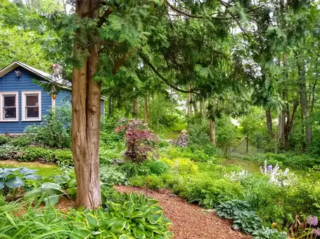 Saturday, June 28 Open Day at Yaun Farm