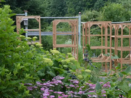 Saturday, June 28 Open Day at The Hen & the Hive