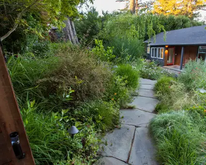 Saturday, May 10th Open Day at Meadow's Edge