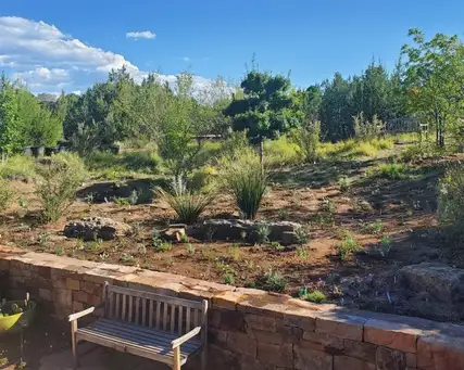 Digging Deeper: Honoring a Legacy: The David Salman Tribute Garden