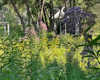 Saturday, July 26 Open Day at New Canaan Meadow