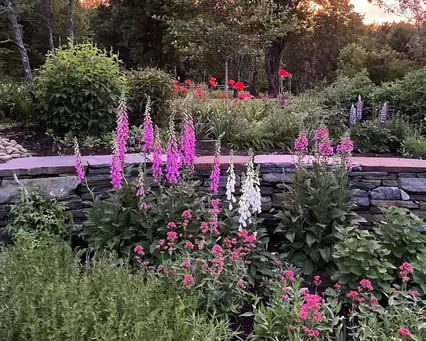 Saturday, July 19 Open Day at Wyoming Valley Farm