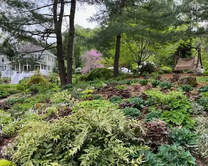 Saturday, July 19 Open Day at Cynthia's Garden