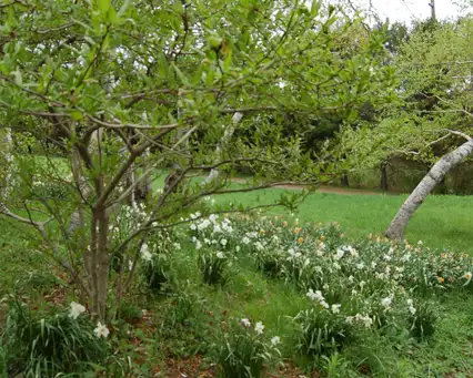Sunday, July 20 Open Day at Highgrove Cottage