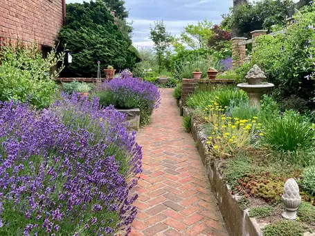 Sunday, June 22 Open Day at Elaine Peterson