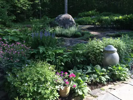 Saturday, June 14 Open Day at Roxana Robinson - Treetop