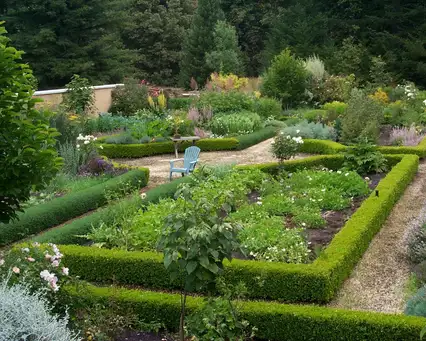 Saturday, June 14 Open Day at Wildwood