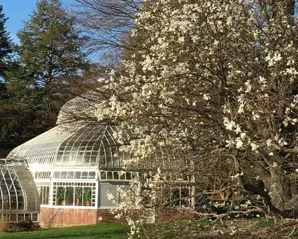 Digging Deeper: A Reunion of Trees