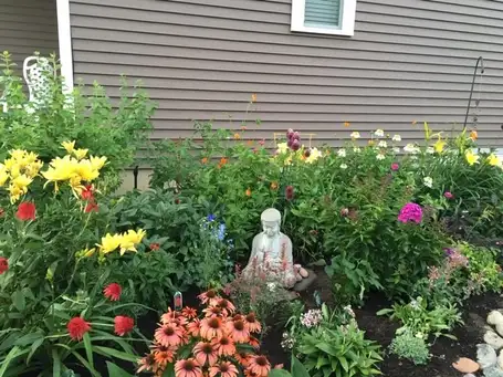 A Place to Nest - Moe's Garden