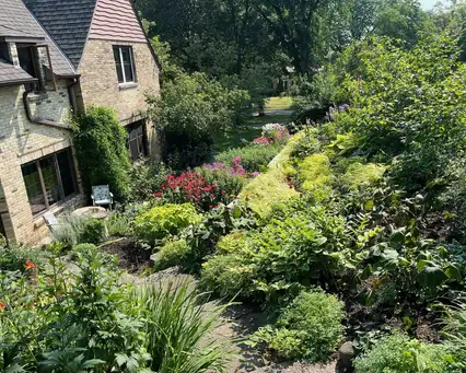 Serendipity Terraces
