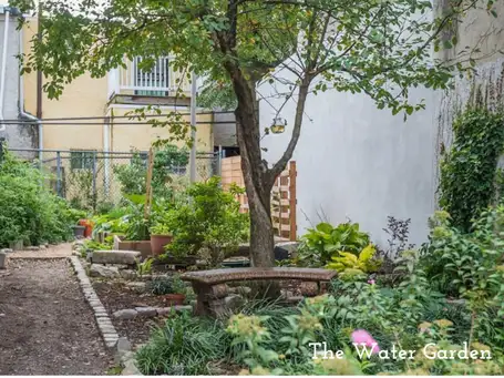 Sunday, June 22 Open Day at The Water Garden and Fitzwater 2000 - 10am-12pm