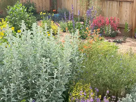 Saturday, June 28 Open Day at Denver Dry Garden