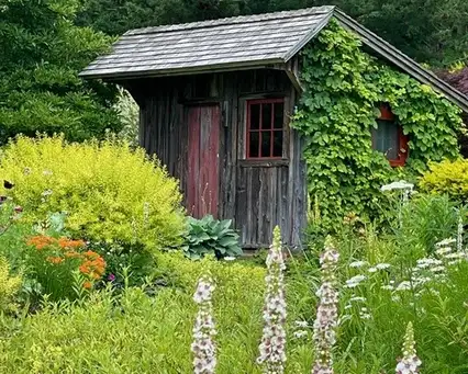 Saturday, June 28 Open Day at Henderson Hollow Farm